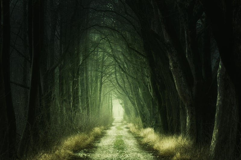Enchanted Pathway